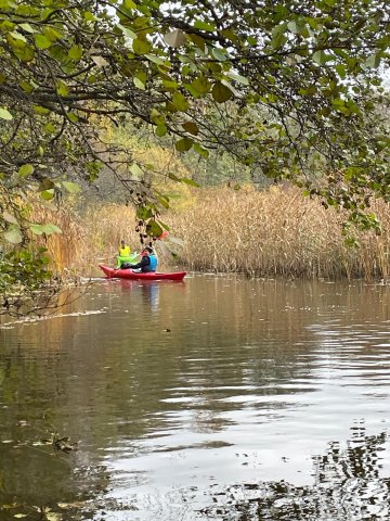 whatsapp image 2026-03-04 at 15.26.22 1